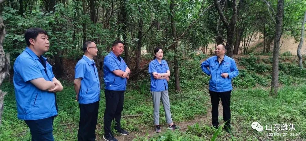 金百利(中国游)官方网站